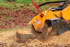 Professional Tree Services in Pembroke, VA