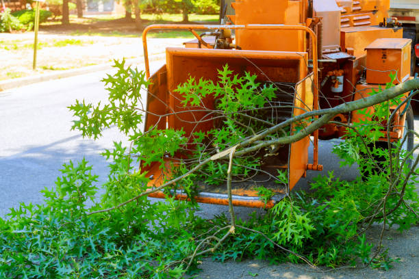 Best Aeration Services  in Pembroke, VA