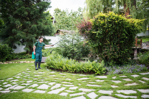 Best Lawn Mowing  in Pembroke, VA