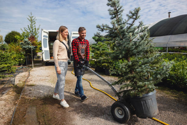 Best Tree Health Inspection  in Pembroke, VA